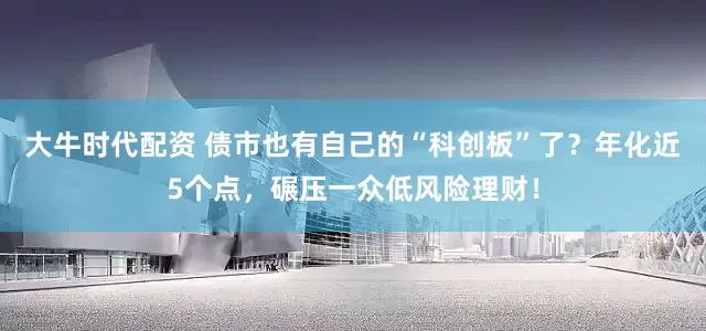 大牛时代配资 债市也有自己的“科创板”了？年化近5个点，碾压一众低风险理财！