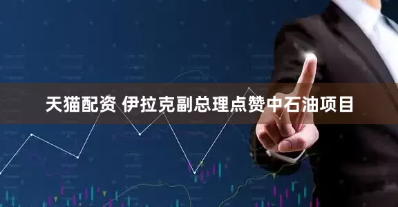 天猫配资 伊拉克副总理点赞中石油项目